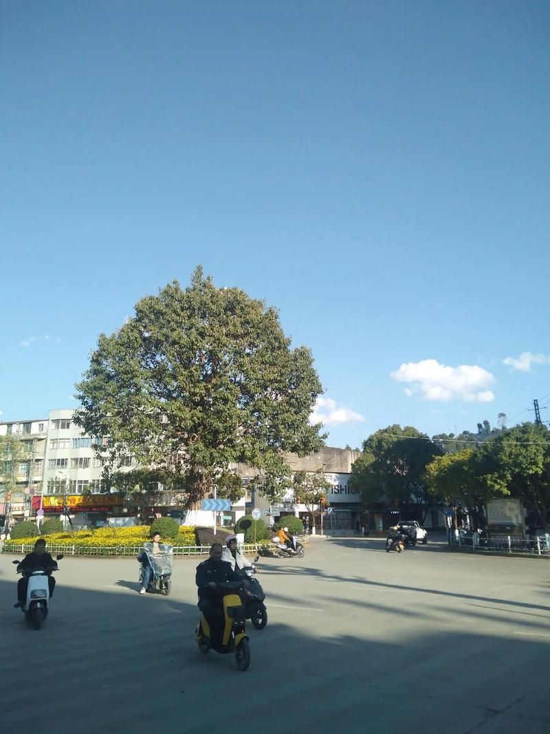 云南普洱墨江哈尼族自治县现有无症状感染者21例(普洱市墨江县简介)