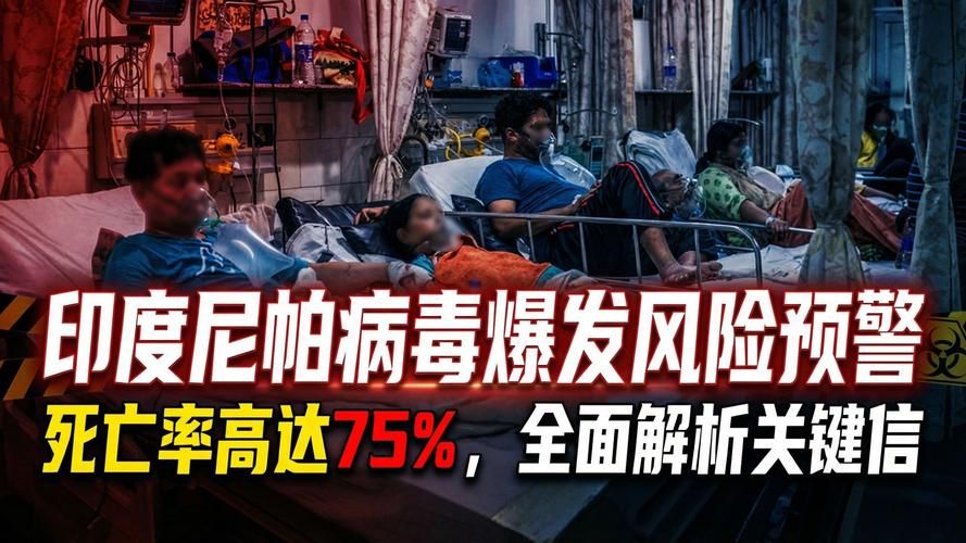 全球疫情存反弹风险/全球疫情大反弹