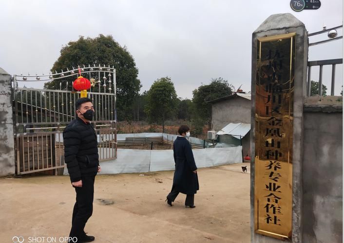 乐都区首例境外输入来源公布(乐都发现冠状疫情)