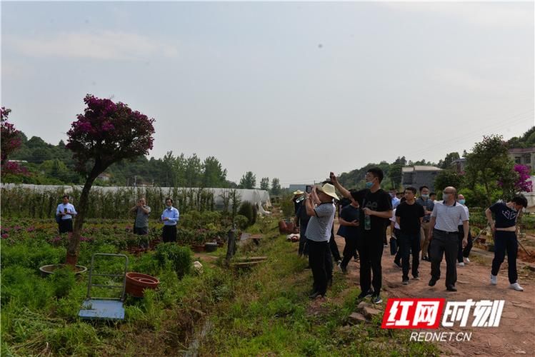 【9地新增本土确诊16例均在湖南湘潭湘潭昭山示范区_湖南省湘潭市昭山镇在哪个区】
