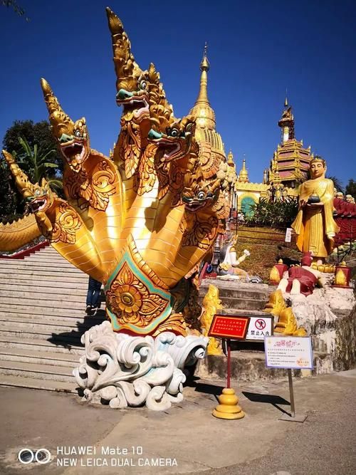 芒市死亡病例已蔓延2地:芒市本土病例