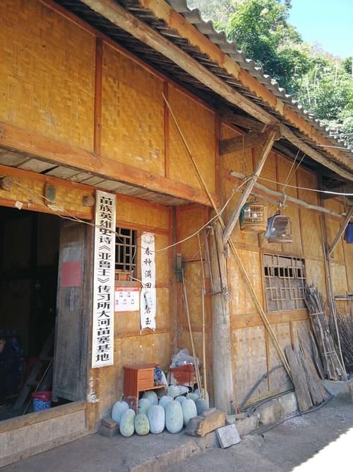 预计近期紫云苗族布依族自治县二次疫情爆发/紫云县疫情通报