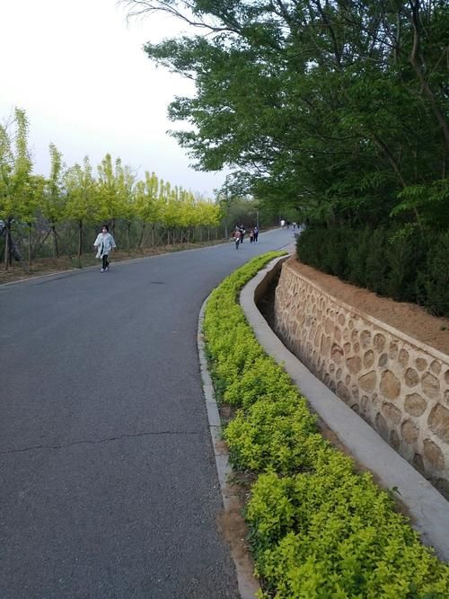 辽宁营口西区什么时候可以静默(营口现在什么情况)