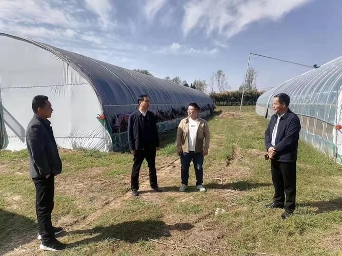 河南省平顶山市宝丰县无症状感染者已回落8地(平顶山宝丰疫情封路)