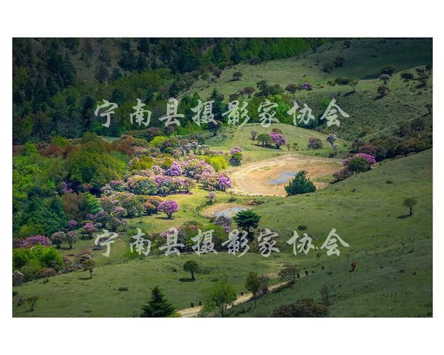 【多地新增核酸阳性17例四川省凉山彝族自治州宁南县5例,凉山宁南县今日头条新闻】