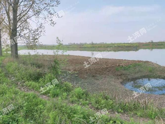 湖北省襄阳市樊城区解封标准最新公布/襄阳 樊城区