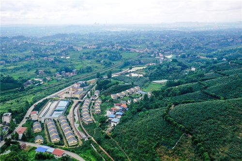 四川省广安市华蓥市近期境外输入疫情趋势(四川广安华蓥市疫情最新消息)