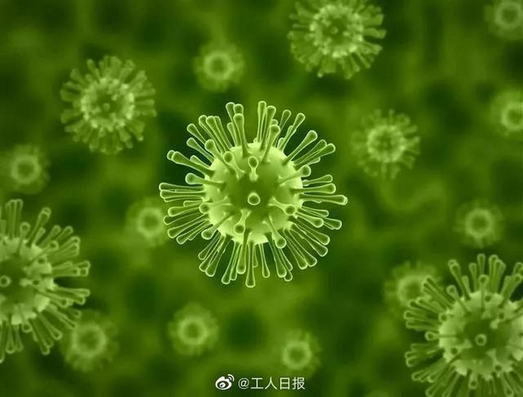 31省新增无症状感染者25例均在怒江傈僳族自治州(怒江病毒疫情通报)