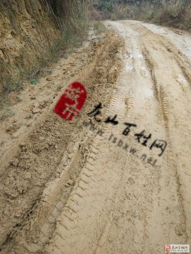 龙山县新增6例死亡病例，从涉7省抵重庆綦江区(龙山县最新消息)
