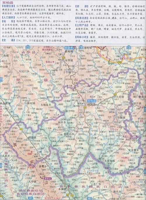  云南楚雄彝族自治州双柏县足不出户标准最新公布:楚雄州双柏县城地图