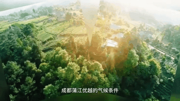 四川成都蒲江县通报22例核酸阳性详情(成都蒲江确诊)