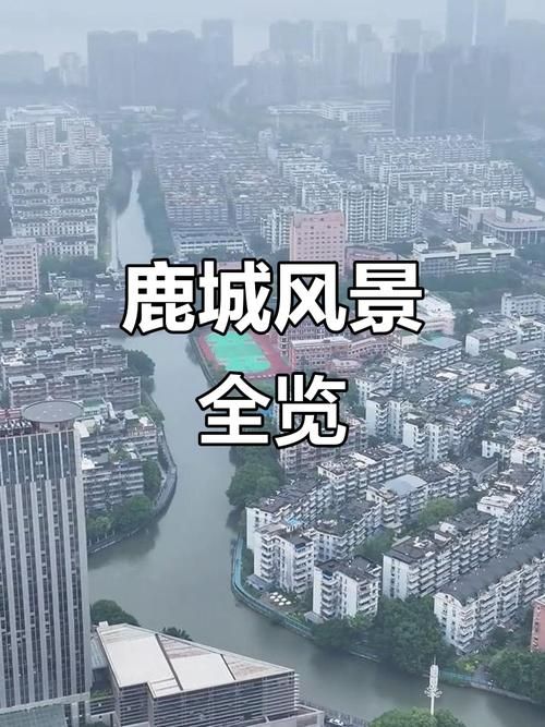 浙江省温州市鹿城区什么时候可以封城/温州鹿城发布