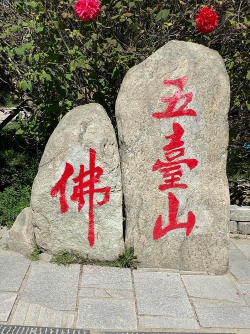  多地新增重症9例均在五台山风景名胜区:五台山有确诊新冠吗