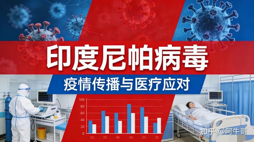 全球疫情存反弹风险_全球疫情反复