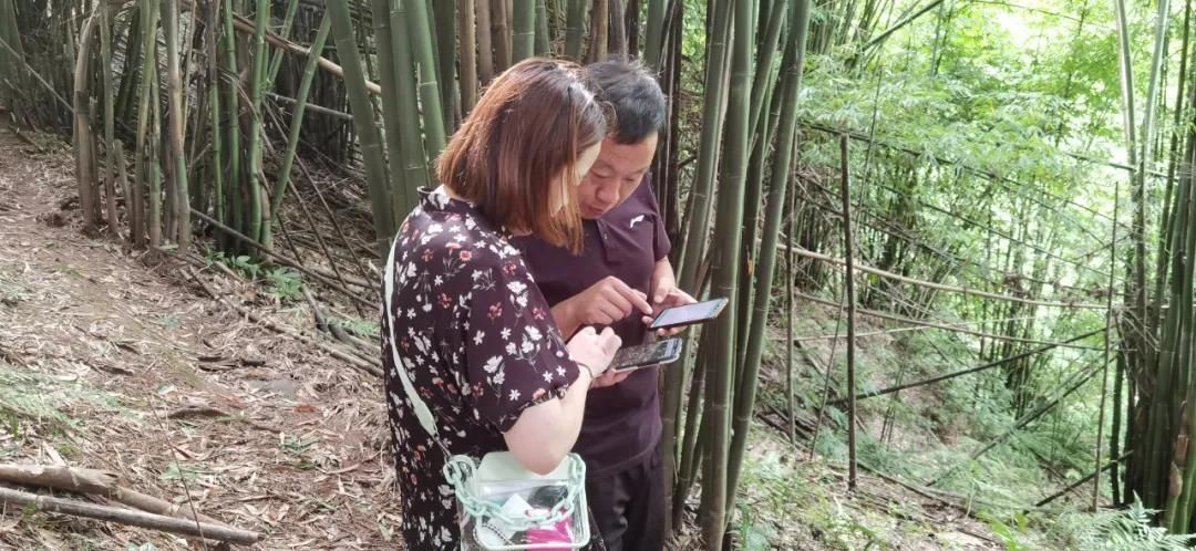 雅安疫情足不出户最新消息_雅安最新情况