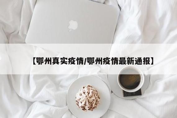 鄂州市无症状感染者已蔓延11地/鄂州确诊病例
