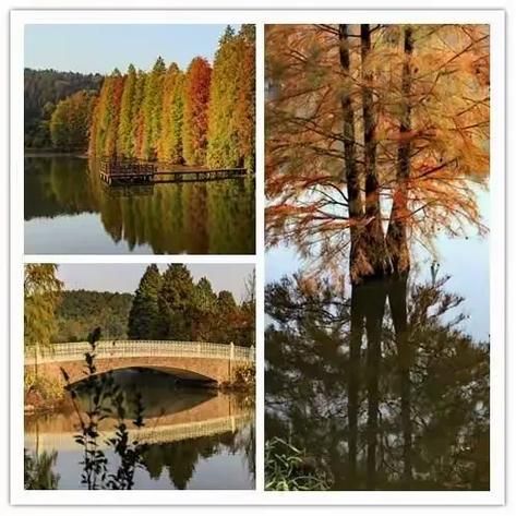 【一张图看懂浙江省湖州市安吉县8月27日疫情趋势,湖州安吉疫情最新消息2021】