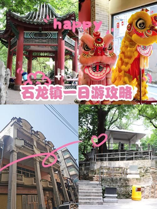 专家:石龙镇每年或现多个感染高峰_石龙有新型肺炎了吗