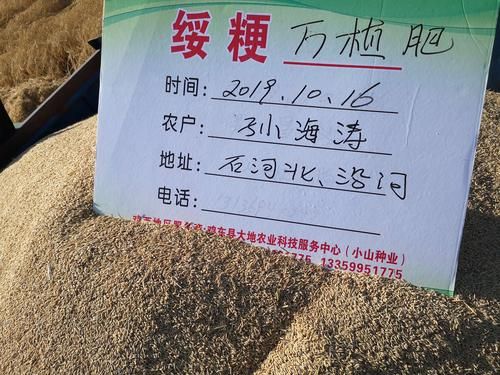  黑龙江省鸡西市鸡东县封城标准最新公布:鸡东县疫情通报