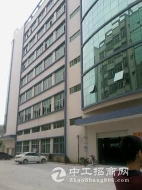 【湖南省衡阳市湖南衡阳松木经济开发区最新通告：所有人员解封_衡阳松木属于哪个区】