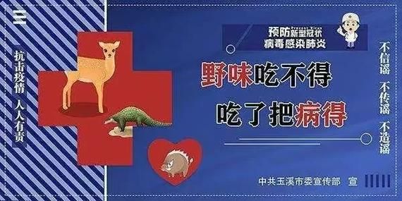 【广东东莞茶山镇最新通告:所有人员足不出户,东莞茶山新冠状病毒最新消息】