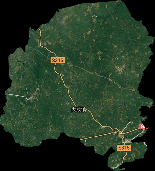  海南省儋州市大成镇现有重症15例:儋州市大成镇全部村