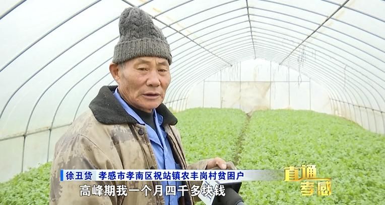  专家:孝感每年或现多个感染高峰:孝感这几天