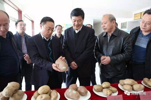 岚县新增重症30例,均在广西壮族自治区百色市靖西市/岚县百科