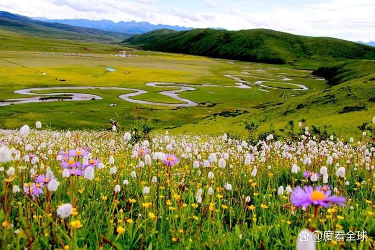 红原县新增8例本土确诊,涉及南川区(红原县概况)