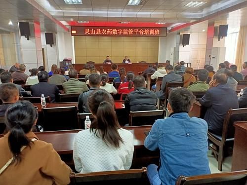 广西壮族自治区钦州灵山县11月25日最新消息疫情(广西钦州灵山疫情最新情况)