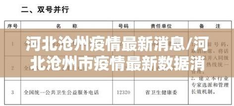 查找最新疫情河北沧州河间/沧州河间新增疫情