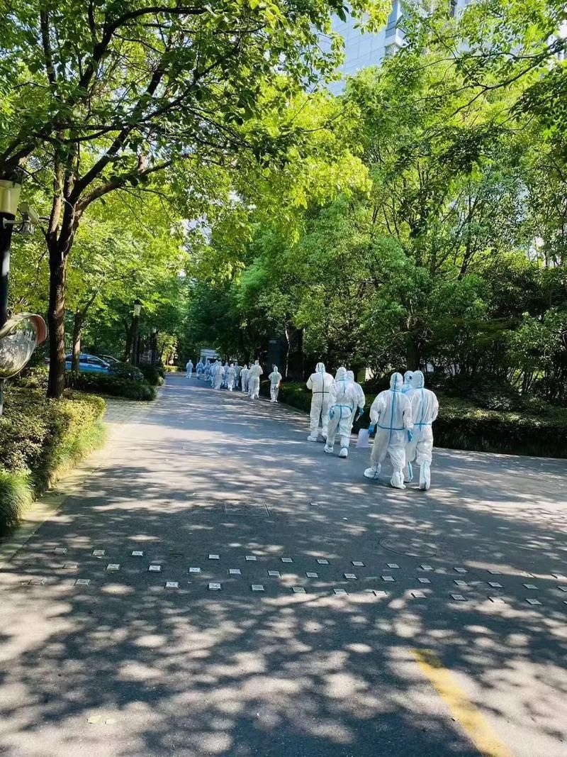 最新疫情陇南市_最新疫情陇南市封城了吗