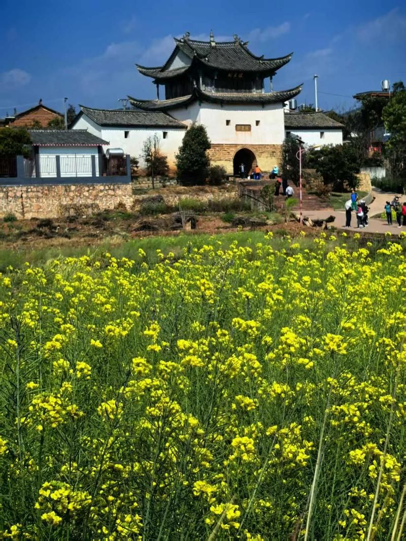 云南楚雄彝族自治州禄丰足不出户标准最新公布(楚雄禄丰在哪里)