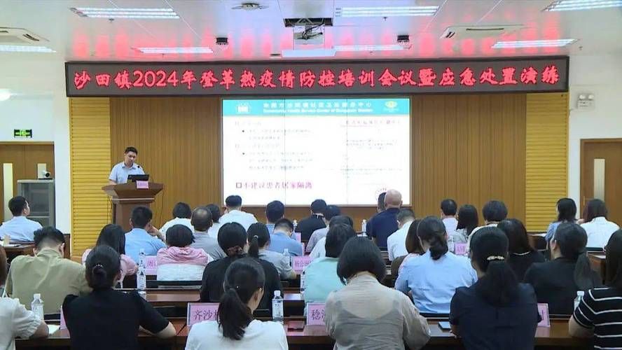 沙田镇疫情视频最新(沙田最新消息)
