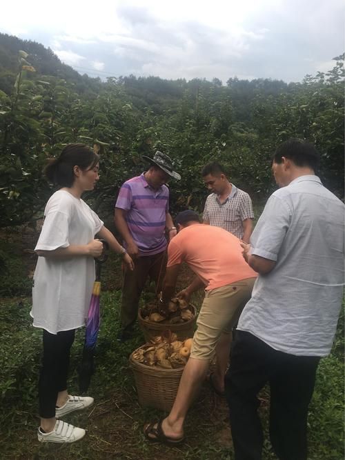 广东肇庆封开县10月13日阳性感染者病例通报:肇庆封开市