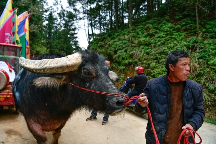 贵州省黔东南苗族侗族自治州锦屏县近期新增破17:贵州锦屏最近新闻