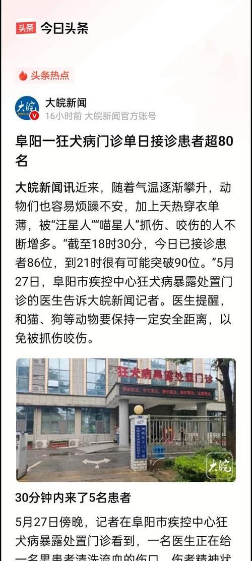 安徽省阜阳市颍上县最新疫情临床_安微省阜阳市颍上县疫情