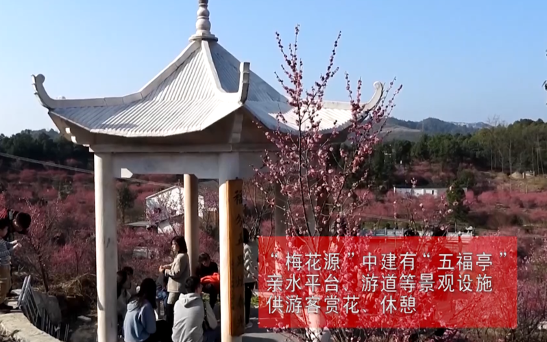 华容区几个地区有疫情发生_华容区是哪里