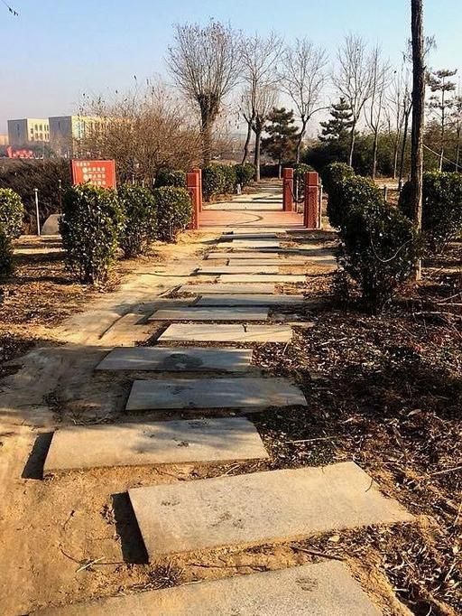 河北邯郸邱县今冬最新消息疫情(河北邯郸邱县是什么风险区)