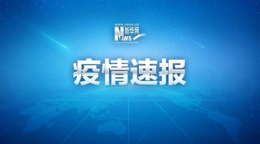 查找最新疫情咸宁/咸宁最新疫情通报