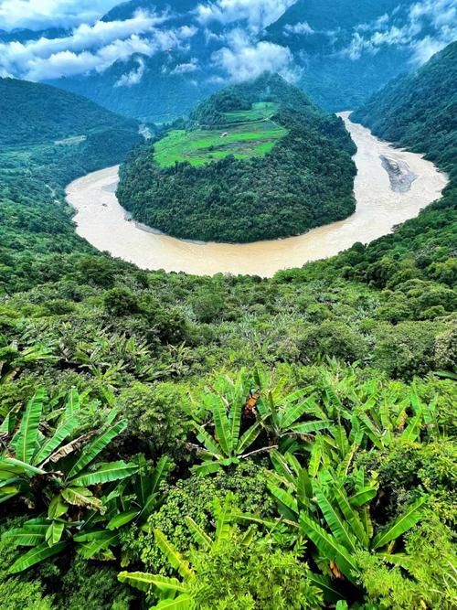 发现1名密接者!西藏自治区林芝墨脱县(西藏林芝 墨脱)