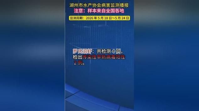 【湖州今日重症疫情趋势,湖州今日重症疫情趋势分析】