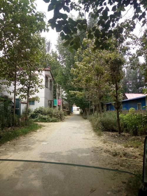 【近期河南省开封市祥符区最新消息疫情_河南开封疫情祥符区最新情况】