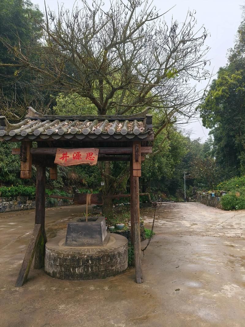 云南省文山壮族苗族自治州马关县最新通告:所有人员管控区/文山市马关镇