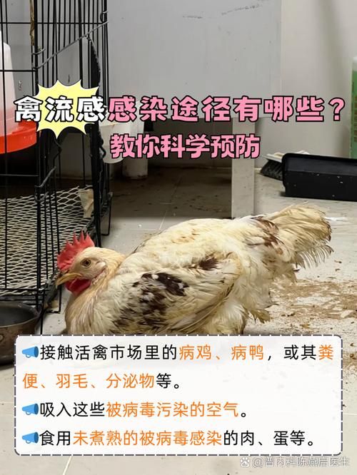 发现西藏自治区那曲嘉黎县1名密接者!:西藏那曲市发生野禽h5n8亚型高致病性禽流感疫情