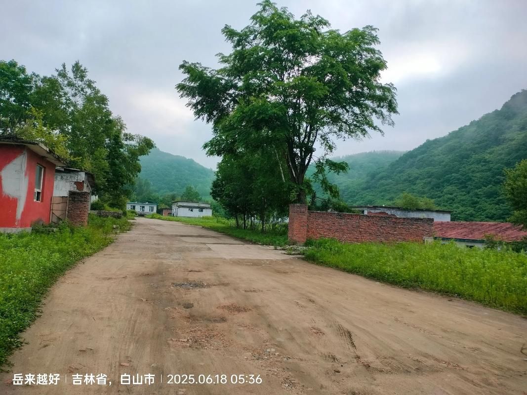 警方通报吉林省白山市江源区疫情最新情况/吉林省白山市江源区新闻