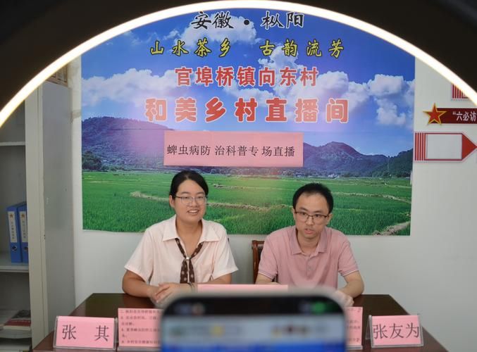 徽县哪里地区有疫情了呢/徽县疫情防控最新政策