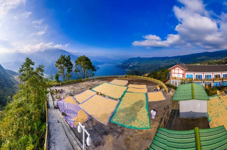 【四川凉山彝族自治州雷波县各地区疫情等级,凉山州雷波县政府网】