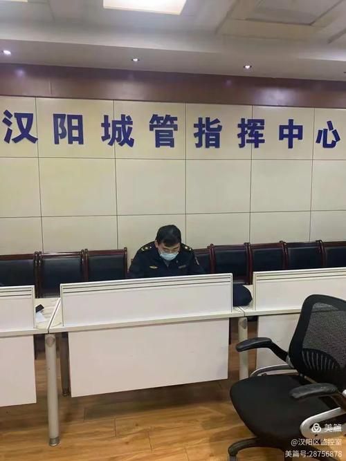 汉阳区重症已反弹19地/汉阳 确诊