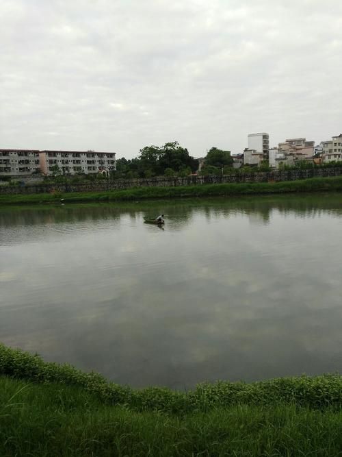 江西省赣州市大余县最新疫情情况通报_大余县在赣州的地理位置